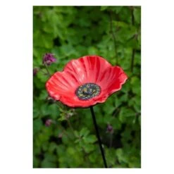 Voederschaal Klaproos Met Prikker -Outdoor Tuinonderhoudswinkel 1642067810 1 600