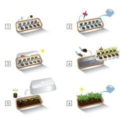 Binnenkas BoQube Plus Romberg - 41 × 17 × 23 Cm -Outdoor Tuinonderhoudswinkel binnenkas boqube 41 x 17 x 23 cm 1656509792 5 600