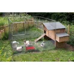 Buis Voor Fruitkooi/beschermkooi - 122 Cm Aluminium 9 Buis Voor Fruitkooi/beschermkooi - 122 Cm Aluminium -Outdoor Tuinonderhoudswinkel buis fruitkooi 122 cm aluminium 1517231624 3 600