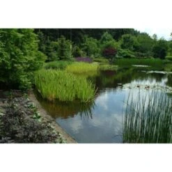 Ecoo Tuin- Of Vijverafboording Ecolat 14 Cm - 10 M Grijs -Outdoor Tuinonderhoudswinkel ecolat 10 m 1484063064 4 600