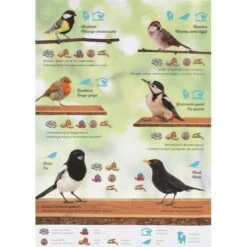 Emma's Garden Vogelvoeder Start Pack 13 Emma's Garden Vogelvoeder Start Pack -Outdoor Tuinonderhoudswinkel emmas garden start pack 1636369560 4 600