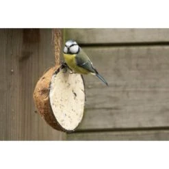 Emma's Garden Vogelvoeder Start Pack 10 Emma's Garden Vogelvoeder Start Pack -Outdoor Tuinonderhoudswinkel emmas garden start pack vogelvoer 1638884419 1 600