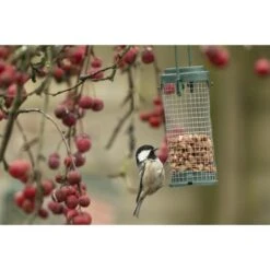 Emma's Garden Vogelvoeder Start Pack 12 Emma's Garden Vogelvoeder Start Pack -Outdoor Tuinonderhoudswinkel emmas garden start pack vogelvoer 1638886127 1 600