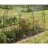 Fruitkooi Lang 3 × 1 × 1,5 M 1 Fruitkooi Lang 3 × 1 × 1,5 M -Outdoor Tuinonderhoudswinkel fruitkooi 3 x 1 x 15m 1484054956 1 600
