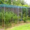 Fruitkooi Walk-in - 360 × 180 × 200 Cm -Outdoor Tuinonderhoudswinkel fruitkooi walkin 65 m 1678888704 1 600