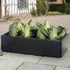 Groeibed 97,5 × 50 × 25 Cm -Outdoor Tuinonderhoudswinkel groeibed 975 x 50 x 25 cm 1484055485 1 600