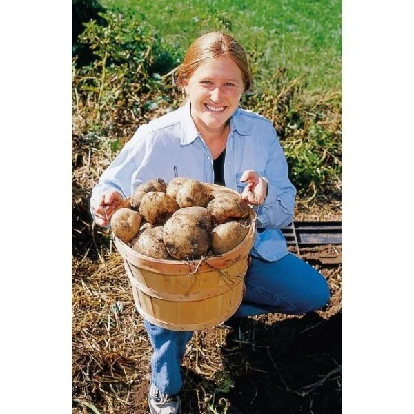 Groeibed Vierkant Kunststof - 97,5 × 97,5 × 25 Cm 7 Groeibed Vierkant Kunststof - 97,5 × 97,5 × 25 Cm - Afbeelding 5