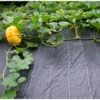 Gronddoek 1 × 12 M (90 G/m²) -Outdoor Tuinonderhoudswinkel gronddoek 1 m x 12 m 100gm 1553160272 1 600