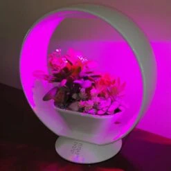 Mini Tuin Jardin Secret Met Verlichting En Bluetooth - Rond -Outdoor Tuinonderhoudswinkel jardin secret met bluetooth rond 1602065218 3 600