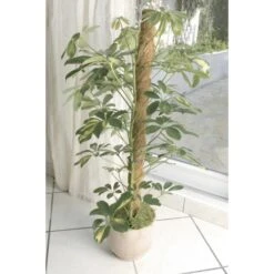 Kokos Kamerplantensteun - Plantstok Ø45 Mm × 1 M -Outdoor Tuinonderhoudswinkel kokos plantensteun 45 mm x 1 m 1622717806 3 600