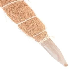 Kokos Kamerplantensteun - Plantstok Ø45 Mm × 1 M -Outdoor Tuinonderhoudswinkel kokos plantensteun 45 mm x 1 m 1622717806 4 600