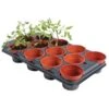 Tray Met 12 Ronde Potten Van 11 Cm -Outdoor Tuinonderhoudswinkel kweektray 12 potjes 11 cm 1484055981 1 600