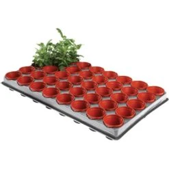 Tray Met 40 Kweekpotjes 6 Cm -Outdoor Tuinonderhoudswinkel kweektray 40 potjes 6 cm 1599819541 1 600