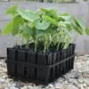 Kweektray Deep Roots - 32 Cellen -Outdoor Tuinonderhoudswinkel kweektray deep roots 32 cellen 1487673472 0 600