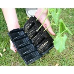 Kweektray Deep Roots - 32 Cellen -Outdoor Tuinonderhoudswinkel kweektray deep roots 32 cellen 1521400145 1 600