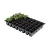 Kweektrays 40 Cellen - Professioneel - Set Van 5 Stuks -Outdoor Tuinonderhoudswinkel kweektrays 40 cellen professioneel 1497949475 1 600