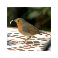 Gedroogde Meelwormen - 100 Gram -Outdoor Tuinonderhoudswinkel meelwormen gevriesdroogd 100g 1484053488 3 600