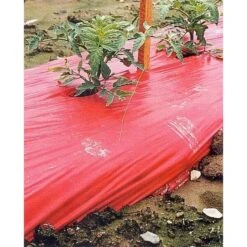 Rode Folie Voor Een Betere Plantengroei -Outdoor Tuinonderhoudswinkel mulchfolie 1577621345 1 600