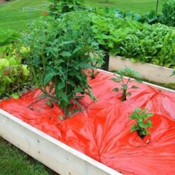 Rode Folie Voor Een Betere Plantengroei -Outdoor Tuinonderhoudswinkel mulchfolie 1577621986 1 600