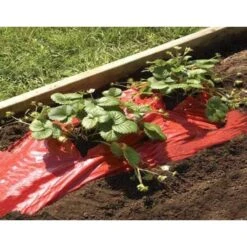 Rode Folie Voor Een Betere Plantengroei -Outdoor Tuinonderhoudswinkel mulchfolie rood aardbeien en tomaten 1492072043 1 600