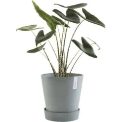 ECOPOTS Amsterdam Onderschotel Op Wielen - Blauwgrijs Ø 41,60 Cm -Outdoor Tuinonderhoudswinkel onderschotel amsterdam wheels blauwgrijs 4160 cm 1600778963 2 600
