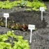 Plantenbordjes Extra Hoog - Set Van 5 Stuks -Outdoor Tuinonderhoudswinkel plantenlabels wit 1484056717 1 600