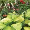 Plantensteun Groeiraster 30 × 46 Cm -Outdoor Tuinonderhoudswinkel plantensteunraster 30 x 46 cm 1602581531 1 600