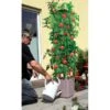 Plantentoren Maxitom Met Waterreservoir - Antraciet -Outdoor Tuinonderhoudswinkel plantentoren maxitom antraciet 1677571235 1 600