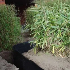 Rootblock Professionele Wortelwering 60 Cm Hoog - / Strekkende Meter 9 Rootblock Professionele Wortelwering 60 Cm Hoog - / Strekkende Meter -Outdoor Tuinonderhoudswinkel rootblock professionele wortelwering 1552733360 3 600