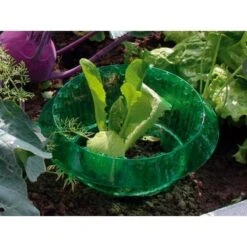 Slakken Beschermringen - Set Van 6 Stuks 7 Slakken Beschermringen - Set Van 6 Stuks -Outdoor Tuinonderhoudswinkel slakken beschermingsringen 1484053655 3 600