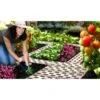 Tuinpadplaten - Grondplaten Bruin - Set Van 8 Stuks -Outdoor Tuinonderhoudswinkel tuinpadplaten grondplaten bruin 1484056887 3 600