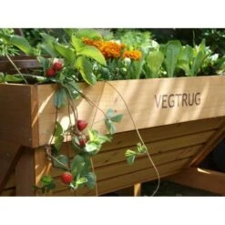 Vegtrug Verhoogde Kweektafel - 1 × 0,8 × 0,8 M 9 Vegtrug Verhoogde Kweektafel - 1 × 0,8 × 0,8 M -Outdoor Tuinonderhoudswinkel vegtrug 1 m 1484054491 4 600