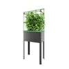 Verhoogd Kweekbak City Jungle Heidelberg Met Klimframe -Outdoor Tuinonderhoudswinkel verhoogd plantenbed city jungle heidelberg 1677506551 1 600