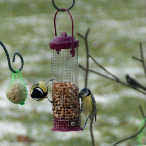 Voederstation Colors Met Voedersystemen - Afbeelding 6